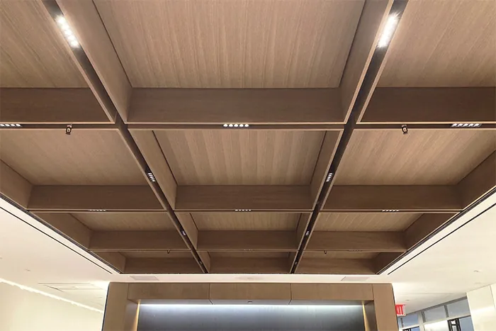 Legno Ceiling by Sky Acoustics